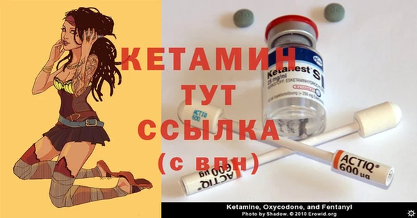 сатива Армянск
