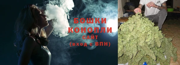 сатива Армянск