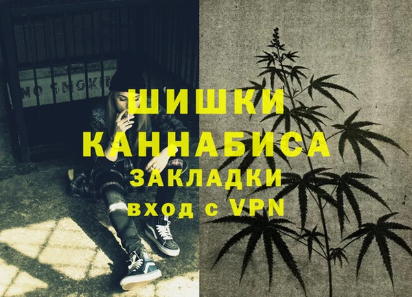 сатива Армянск