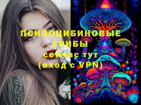 Альфа ПВП Аркадак