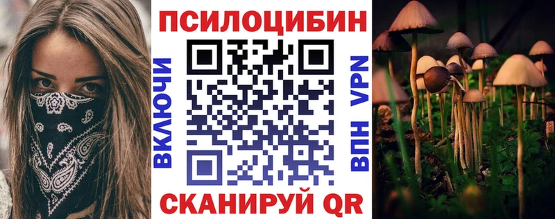 блэк спрут вход купить наркотик Артёмовск Галлюциногенные грибы прущие грибы